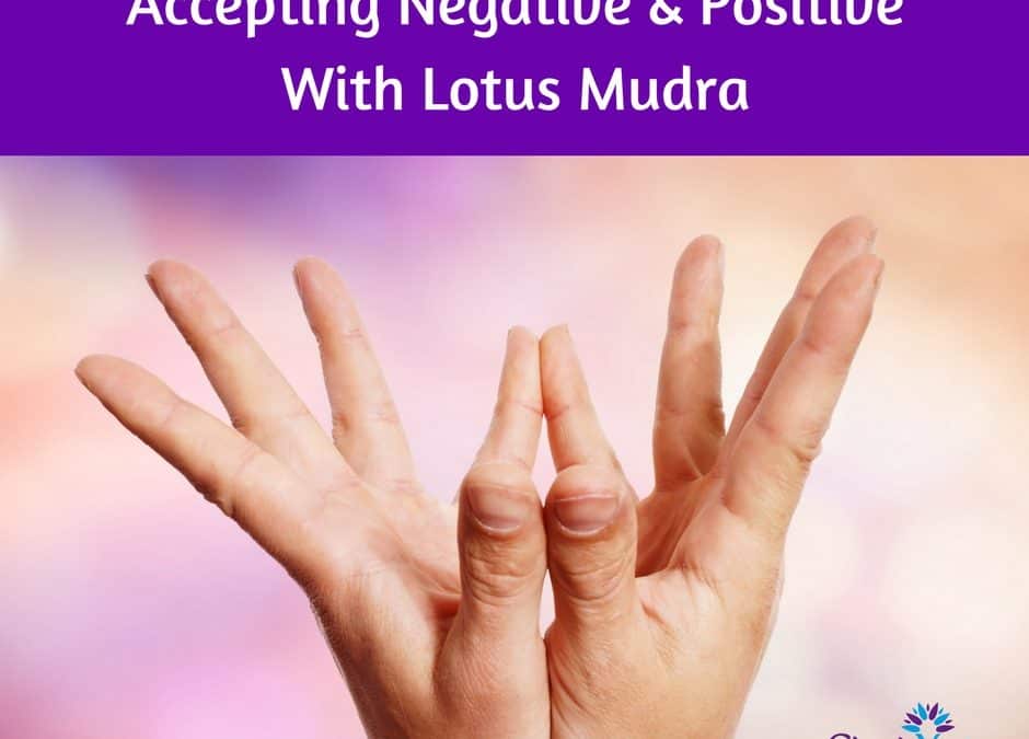 Lotus Mudra ~ Accepting The Negative & Positive